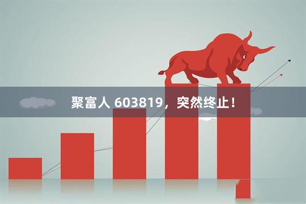 聚富人 603819，突然终止！